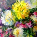 Watercolor art background colorful nature summer white yellow pink beautiful flowers blossom dahlia garden Royalty Free Stock Photo