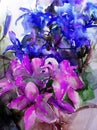 Watercolor art background creative fresh vibrant textured floral flowers bouquet blue violet lilies