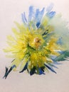 Watercolor art background floral flower yellow light dahlia romantic nature Royalty Free Stock Photo