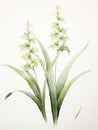 Watercolor Art of Habenaria Radiata on White Backdrop AI Generated