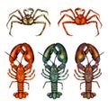 Watercolor art of raw and cooked sea food crab lobster set Royalty Free Stock Photo