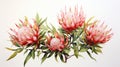 Watercolor Art of Telopea Speciosissima on White Backdrop AI Generated