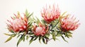 Watercolor Art of Telopea Speciosissima on White Backdrop AI Generated Royalty Free Stock Photo