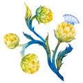 Watercolor artichoke flower Royalty Free Stock Photo