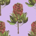 Watercolor artichoke vegetables  pattern for kitchen Royalty Free Stock Photo