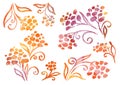 Watercolor Set of Floral Flower elements in the style of line art on a white background. autumn yellow, brown, red and Royalty Free Stock Photo