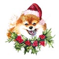 Watercolor artistic orange pomeranian dog in santa hat and holly wreath portrait isolated on white background. Royalty Free Stock Photo