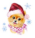 Watercolor artistic xmas dog in santa hat portrait isolated on white background. Royalty Free Stock Photo