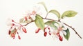 Watercolor Artwork of Quillaja Saponaria on White Background AI Generated