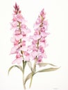 Watercolor Artwork of Quillaja Saponaria on White Background AI Generated
