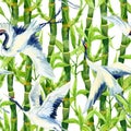 Watercolor asian crane bird seamless pattern