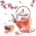 Watercolor asian tea composition with transporant teapot, cup of tea, Japan daifuku and sakura branch isolate on white