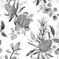 Watercolor australian banksia floral pattern