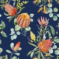 Watercolor australian banksia vector pattern