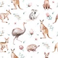 Watercolor australian cartoon kangaroo emu, koala and flying fox seamless pattern. Australian kangaroos set kids