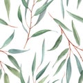 Watercolor australian floral pattern