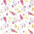 Watercolor australian grevillea vector pattern Royalty Free Stock Photo