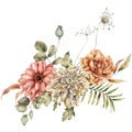 Watercolor autumn bouquet of dahlia, rose, aster, poppy, anise and leaves. Hand painted meadow flowers isolated on white