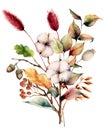 Watercolor autumn bouquet with plants, flowers and berries. Hand painted cotton flowers, lagurus, acorn, leaves and Royalty Free Stock Photo