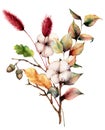 Watercolor autumn bouquet with plants and flowers. Hand painted cotton flowers, lagurus, acorn, leaves and branches