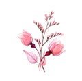 Watercolor autumn bouquet. Transparent pink rose buds with branch isolated on white. Hand painted vintage artwork