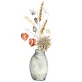 Watercolor autumn bouquet in vase of dry flowers. Hand painted meadow anise, physalis, dahlia and poppy isolated on