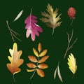 watercolor autumn celebration elements collection vector design illustration