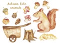 Watercolor autumn children set, card with cute squirrel, nuts, trolley.