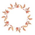 Watercolor autumn circle forest frame with oak leaves, branches and red berries isolated on white background. Hand drawn