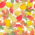 Watercolor autumn collection. Oak, maple, aspen and birch leaves