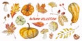 Watercolor autumn collection pumpkins, leaves, mushrooms - elements isolated on white