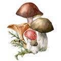 Watercolor autumn composition with mushrooms. Hand painted amanita muscaria, chanterelle and boletus isolated on white Royalty Free Stock Photo