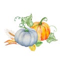 Watercolor autumn composition of two pumpkins