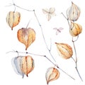 Watercolor autumn composition. Royalty Free Stock Photo