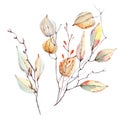 Watercolor autumn composition. Royalty Free Stock Photo