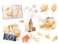 watercolor autumn design elements, fall, holiday clip art isolated on white background. Royalty Free Stock Photo