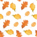 Watercolor Autumn Fall Seamless Pattern. Leaf Pattern. Botanical illustration. October print. Design for tile Royalty Free Stock Photo