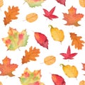 Watercolor Autumn Fall Seamless Pattern. Leaf Pattern. Botanical illustration. October print. Design for tile Royalty Free Stock Photo