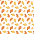 Watercolor Autumn Fall Seamless Pattern. Leaf Pattern. Botanical illustration. October print. Design for tile Royalty Free Stock Photo