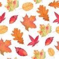 Watercolor Autumn Fall Seamless Pattern. Leaf Pattern. Botanical illustration. October print. Design for tile Royalty Free Stock Photo