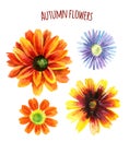 Watercolor autumn flower set
