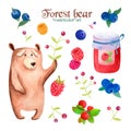 Watercolor autumn forest set with cute brown bear and his tasty berry jam. Fresh raspberry, blueberry, blackberry