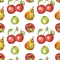 Watercolor autumn fruits seamless pattern. Apples and pears, isolated on white background. Healthy food print Royalty Free Stock Photo