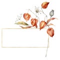 Watercolor autumn gold frame and dry flowers. Hand painted linear poppy, anise and physalis isolated on white background