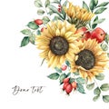 Watercolor autumn greeting card with sunflowers, leaves, apples and rose hips. Hand painted rustic composition isolated