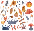 Watercolor autumn halloween set of elements with flowers, leaves, grass, mushroom, pumpkin.