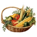 Watercolor Autumn Harvest Basket Clipart, Fall Vegetable PNG, Harvest Feast Clipart, Seasonal Clipart Royalty Free Stock Photo