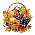 Watercolor Autumn Harvest Basket Clipart, Fall Vegetable PNG, Harvest Feast Clipart, Seasonal Clipart Royalty Free Stock Photo