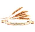 Watercolor autumn harvest. Isolated hand-drawn illustration of ripe wheat ears Royalty Free Stock Photo