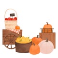 Watercolor Autumn harvest pre made composition with pumpkins, apple basket, yellow flowers, wooden box, cart with wheel, wheat. Royalty Free Stock Photo